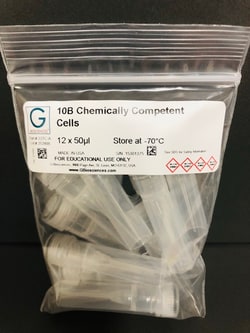 G-Biosciences 10B Chemically Competent Cells